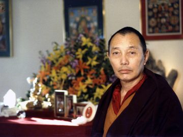 WM-16-6 Gyaltrul Rinpoche-L