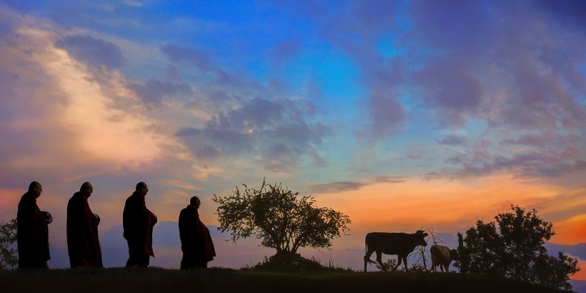 monks-almsround-ox-dawn